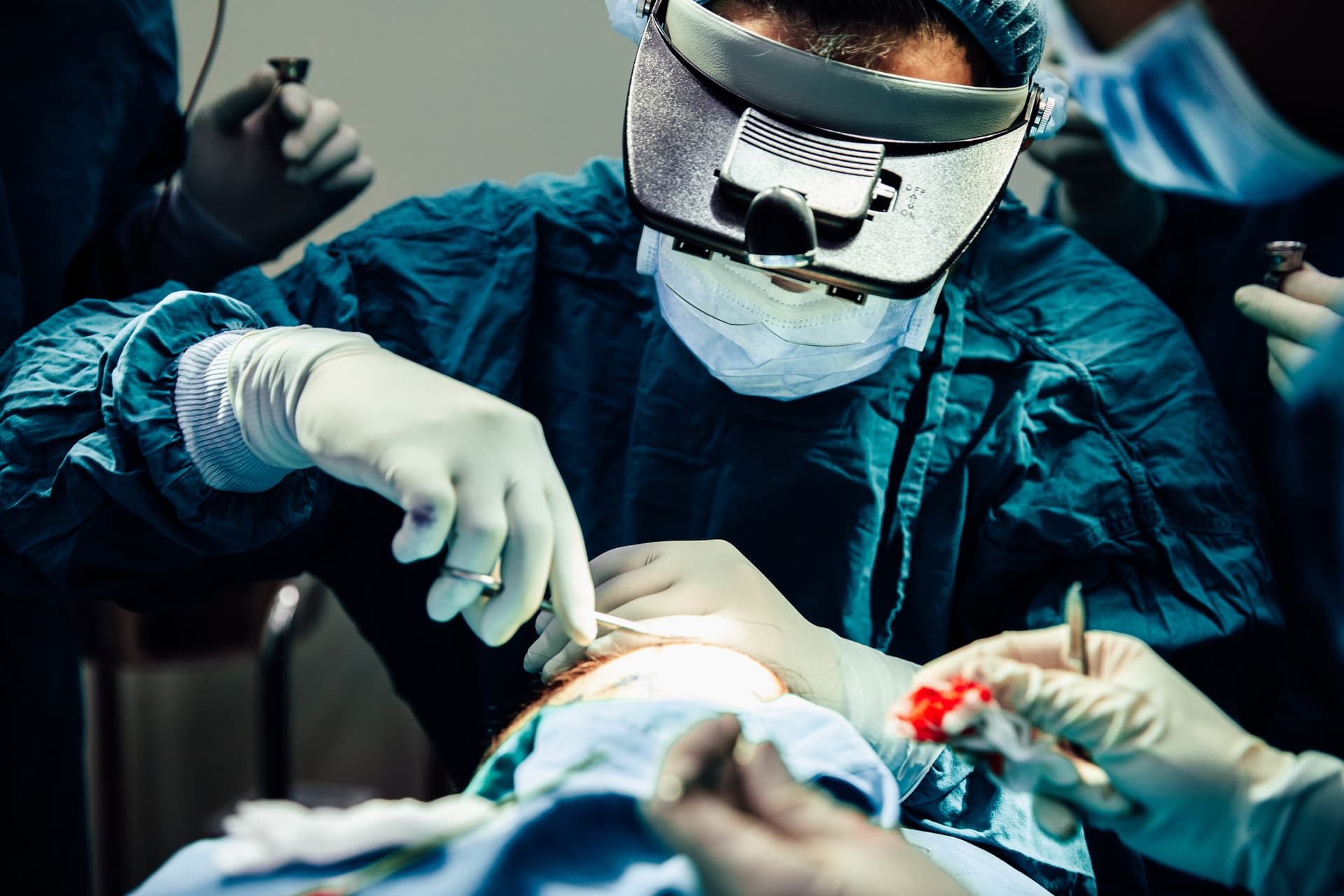 How Does the Invisigraft Transplant Work?